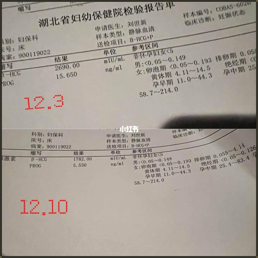 孕程沟通的重要性——抓住关键时期的良策